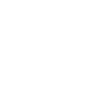 Logo Radio Bruno bianco